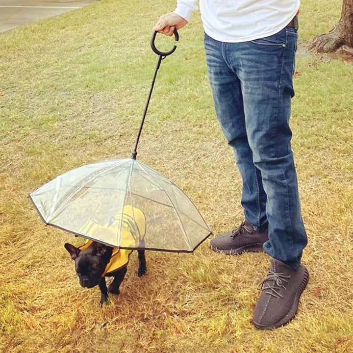 Dog Umbrella - GleeKart